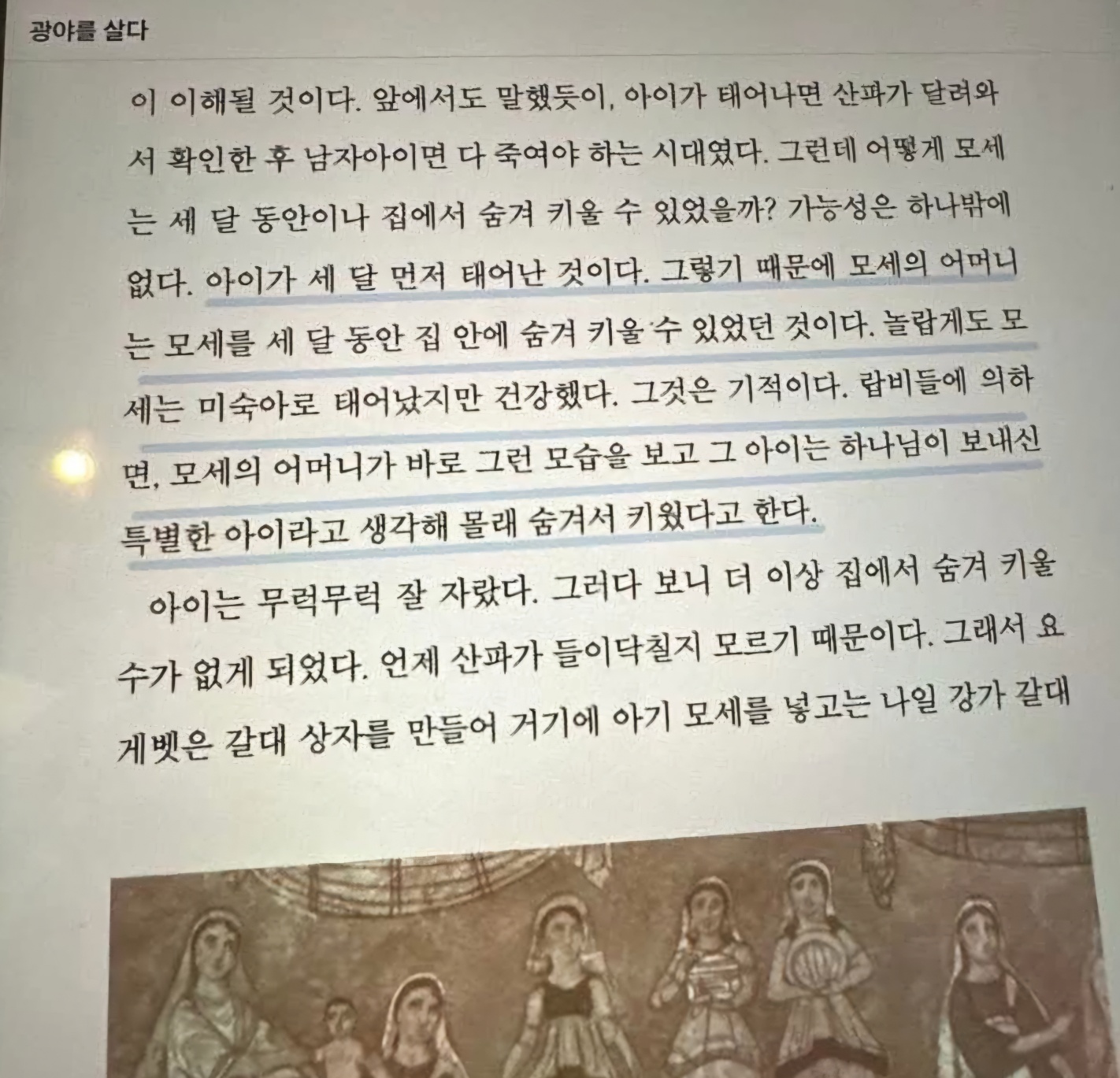 KakaoTalk_20250208_074029069.jpg