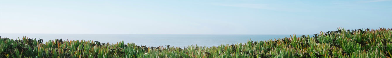 ������ ��ſ��� ��¦ ��� ���� ����� �Ͼ����?��