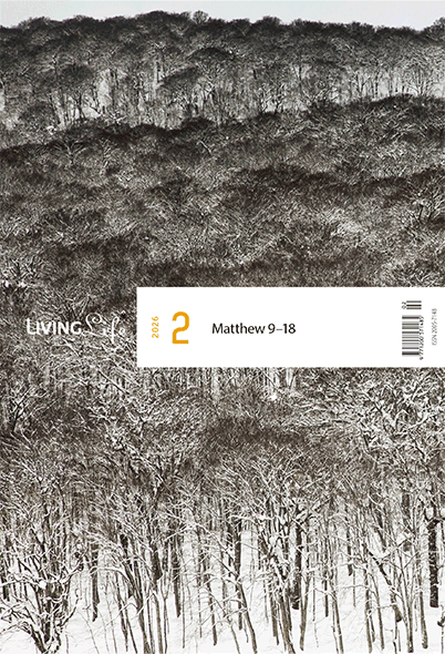 �����ǻ�