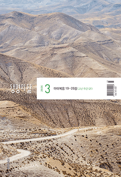 �����ǻ�